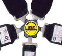 DJ-QRBUCKLE.JPG (37380 bytes)